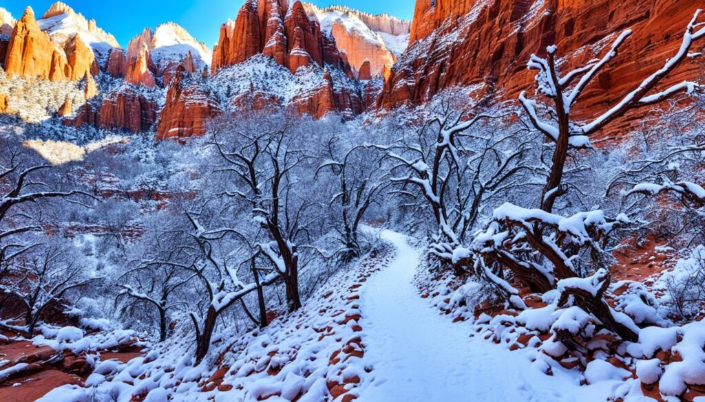 Visiting Zion National Park in Winter